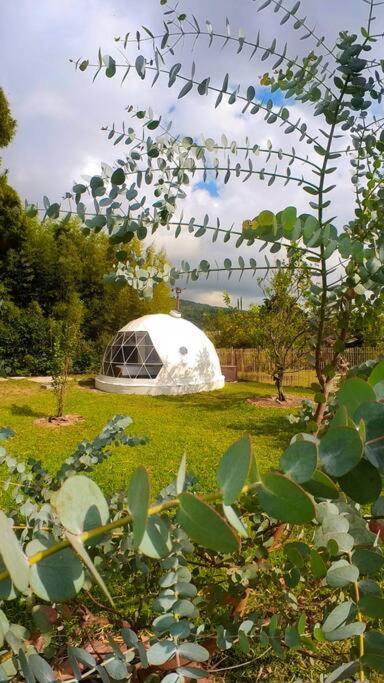 Dome In The Heart Of Boquete. Apartment Exterior photo